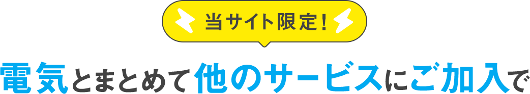 当サイト限定！ 電気とまとめて他のサービスにご加入でおトク！